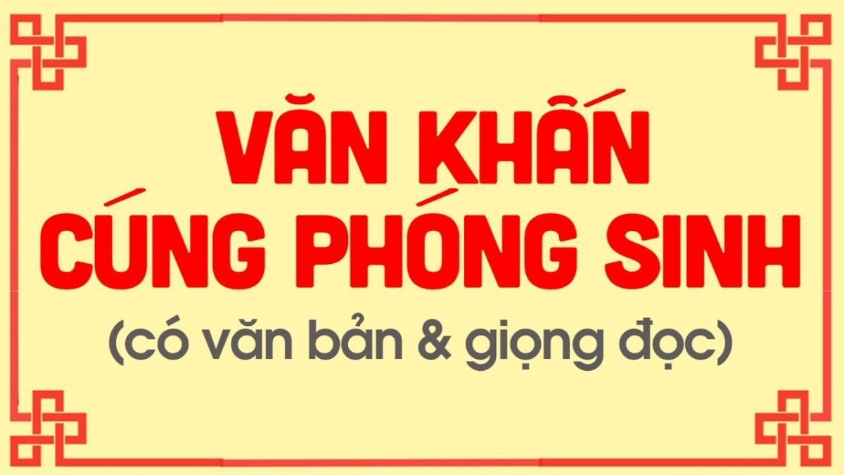 Lễ phóng sinh là gì? Nguồn gốc và ý nghĩa tâm linh